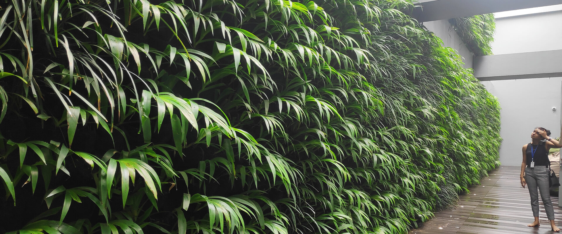 vertical-garden-cover-sky-tech